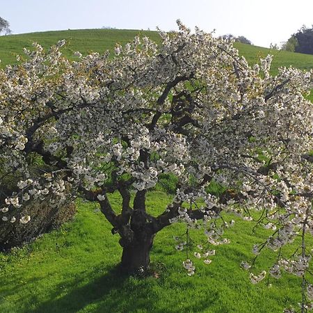 Ferienwohnung Schmotzle Uberlingen Εξωτερικό φωτογραφία